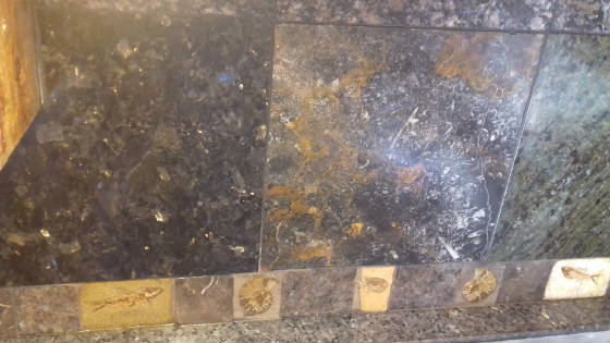 ALEUTIANEXPRESSGalleystovebacksplashShrimpfossilcenterwithamonitesandGreenRiver40myroldfishfossils400myroldSeaFloorMoroccanMarble.jpg