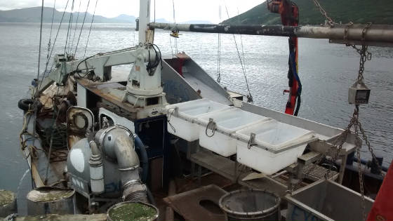 ExpressKingCove8915.jpg