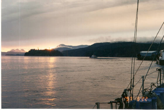 Express_towing_2_barges___Nesika_BC_5-97.jpg