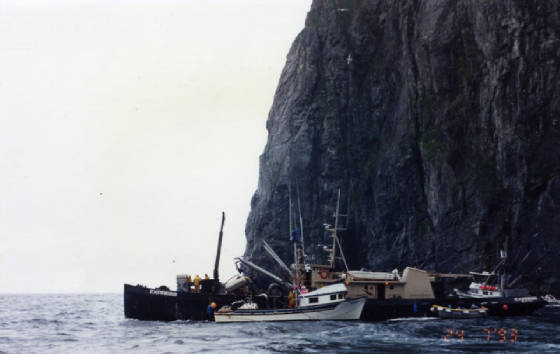 Expresstakingfish1993nearChignik.jpg