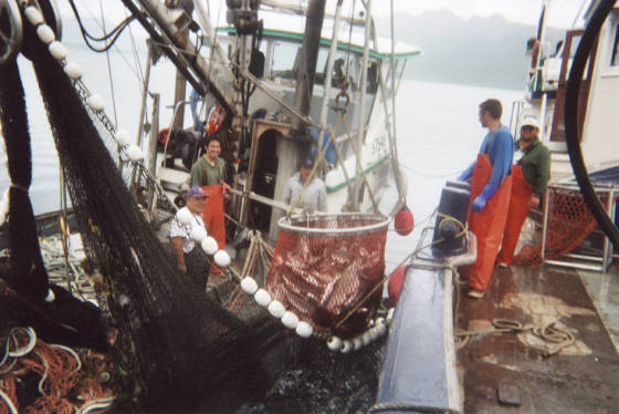 OldHarborKodiak06.jpg