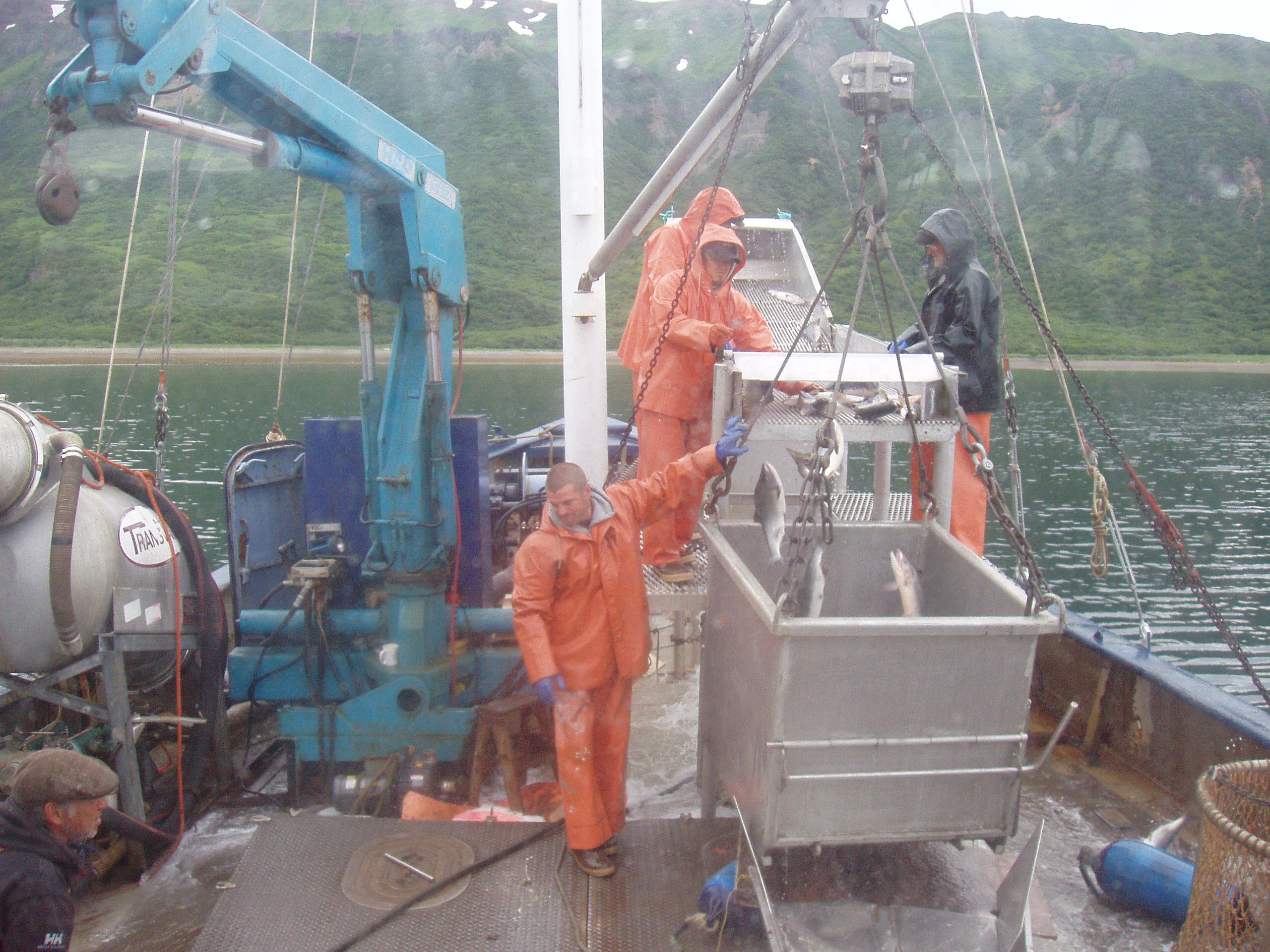 Chignik_2008_057.jpg