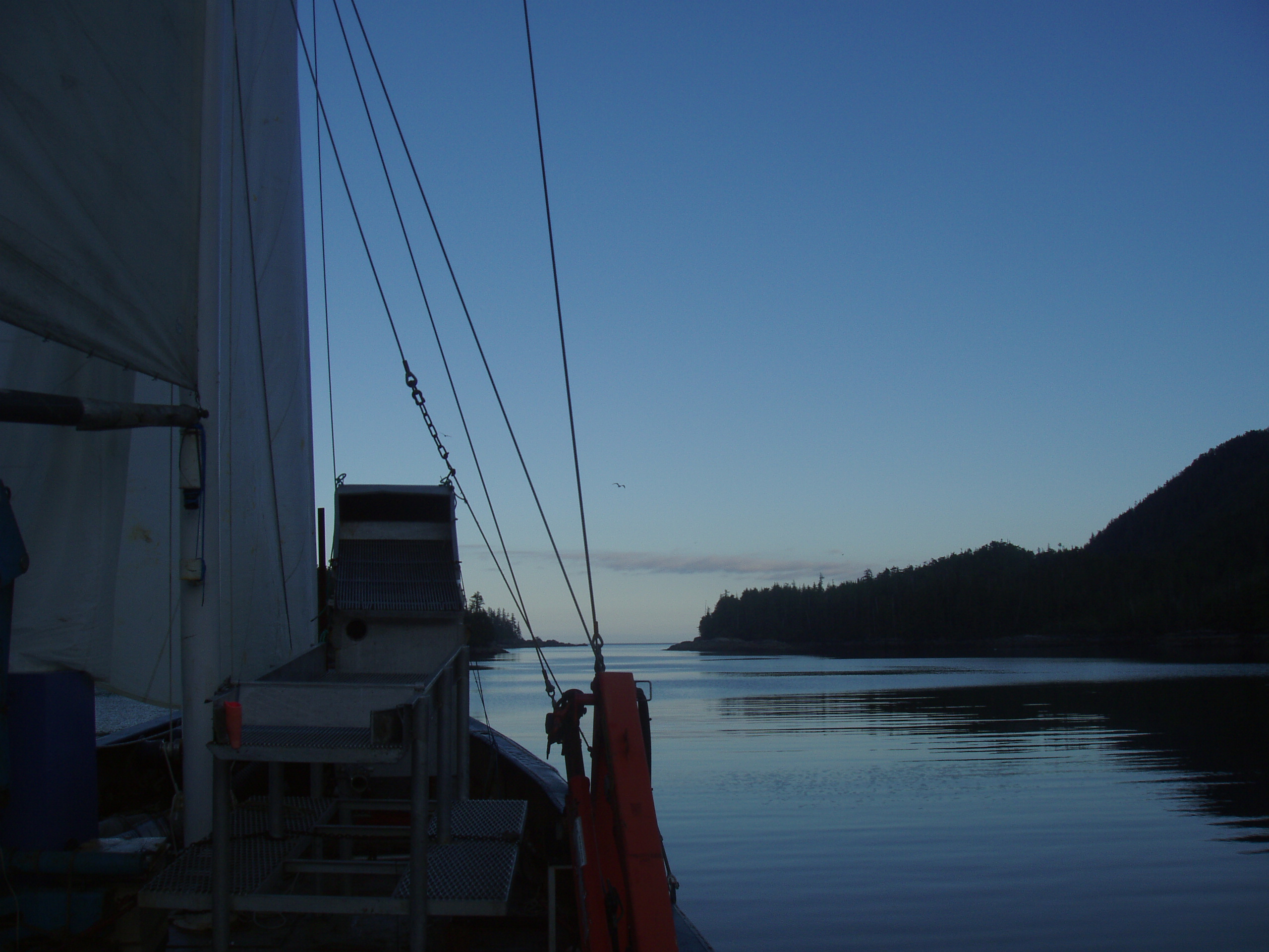 DallIsland81909.jpg