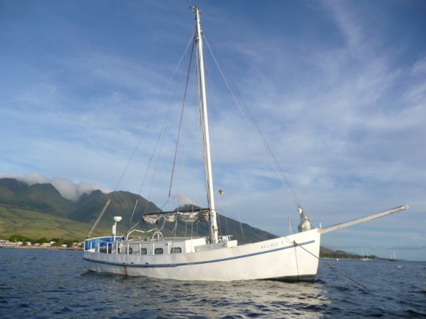 KelseyCatLahaina208.jpg