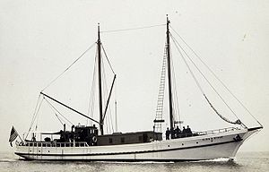 KingnWinge1916.jpg
